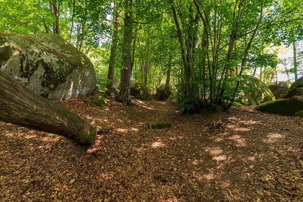 Granietblokken in de Sidobre
