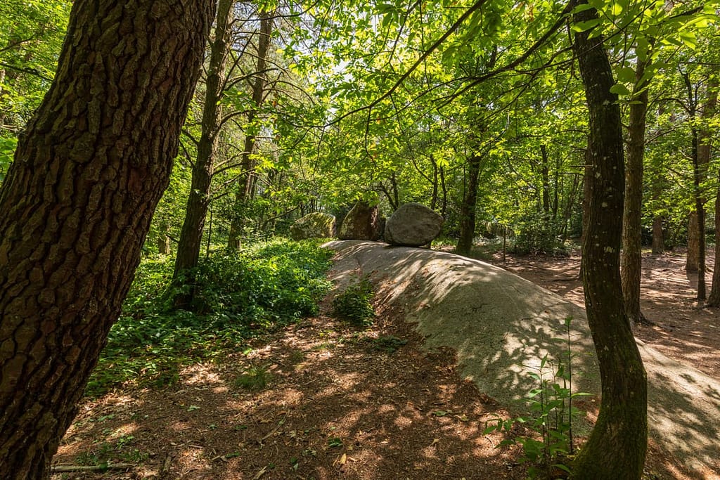 Granietblokken in de Sidobre