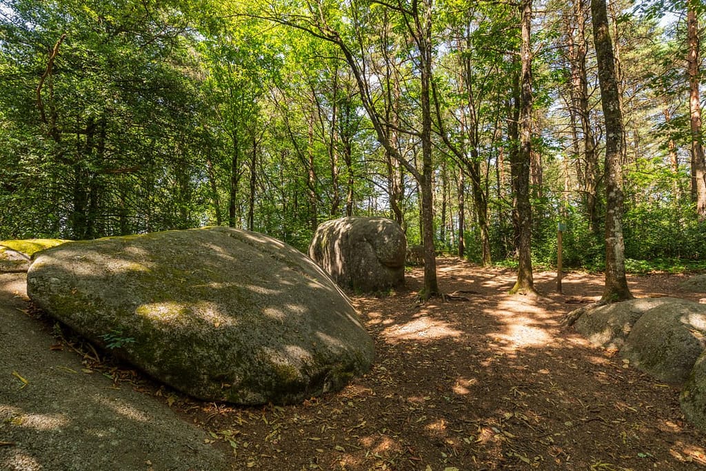 Granietblokken in de Sidobre
