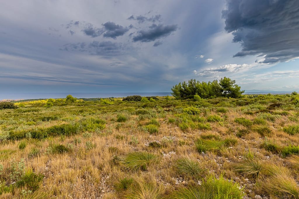 Langs de D168 van Narbonne naar Armissan