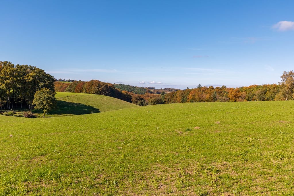 Omgeving van Lac de Tolerme