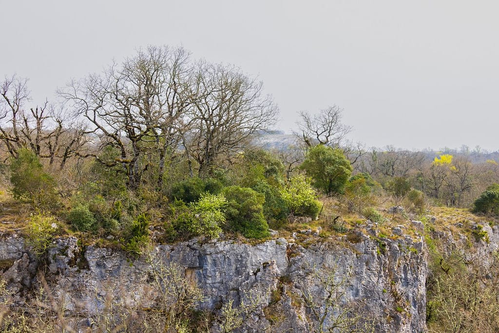 Omgeving bij Chapelle de Saint-Symphorien