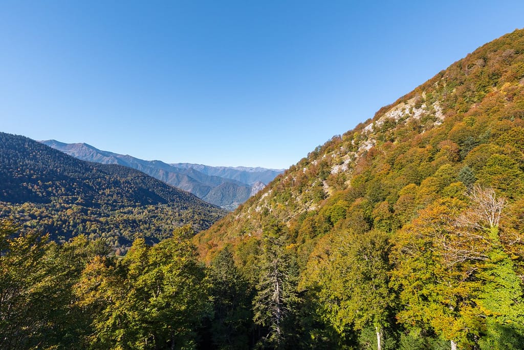Langs D44 Col de la Clin