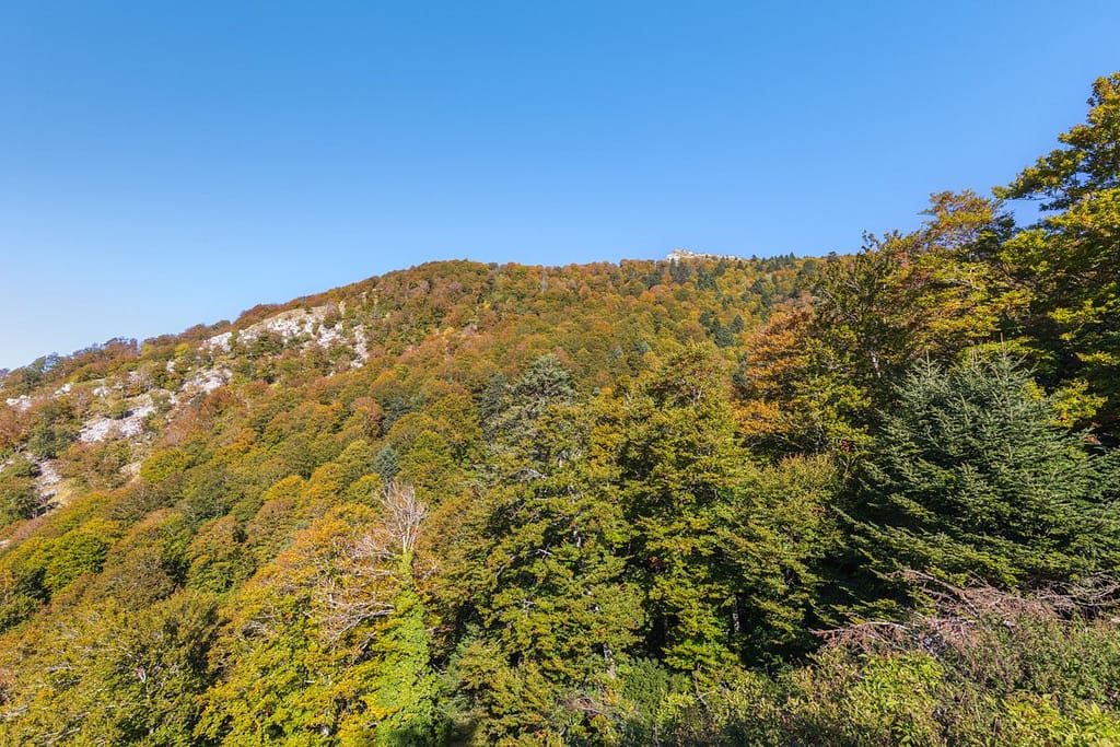 Langs D44 Col de la Clin