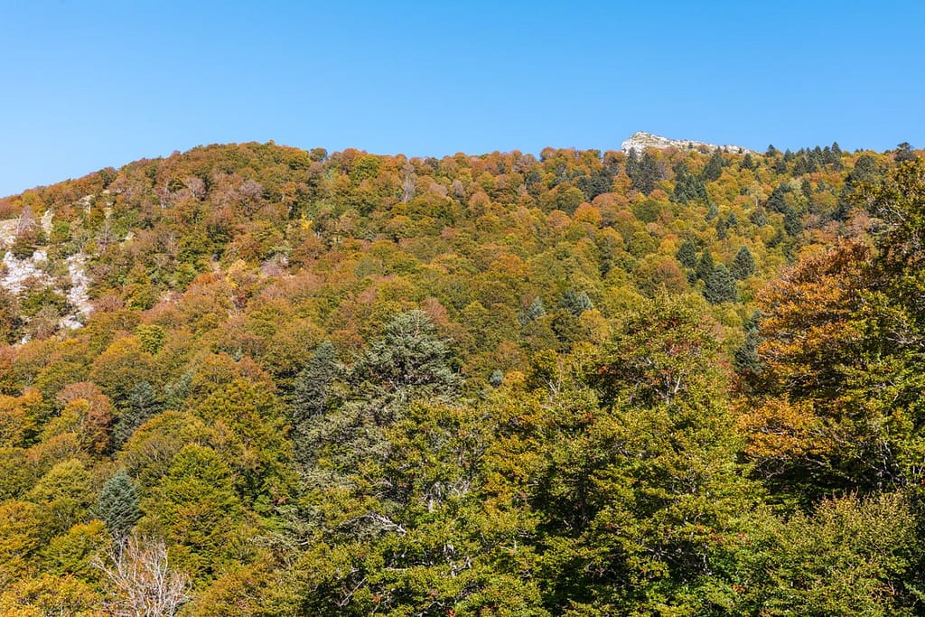 Langs D44 Col de la Clin