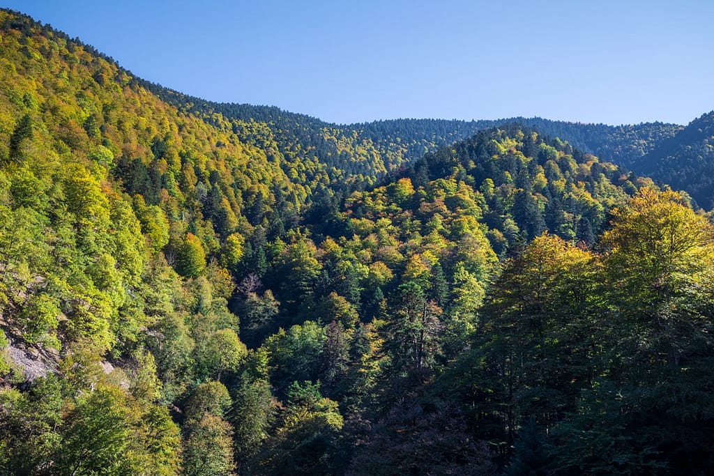 D925 Route du Port de Balès