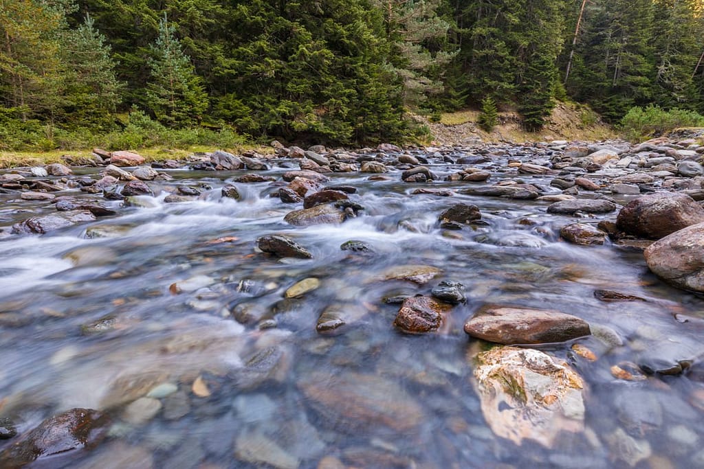 D19 Vallée de Rioumajou