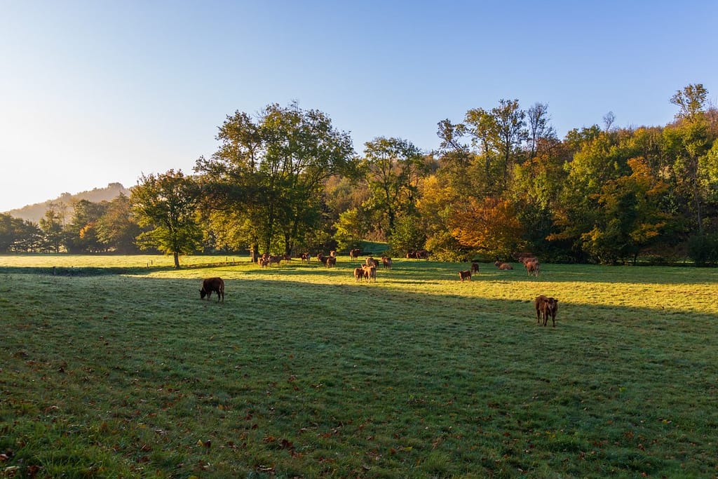 Langs de D30 bij Saint-Gernier