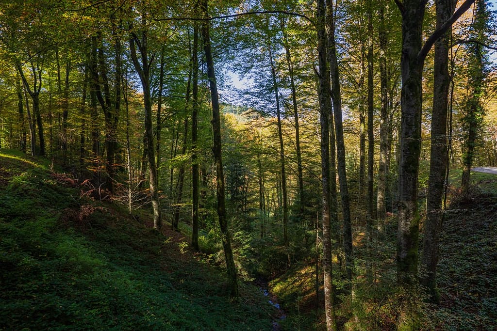 Langs de D14 richting Arfons