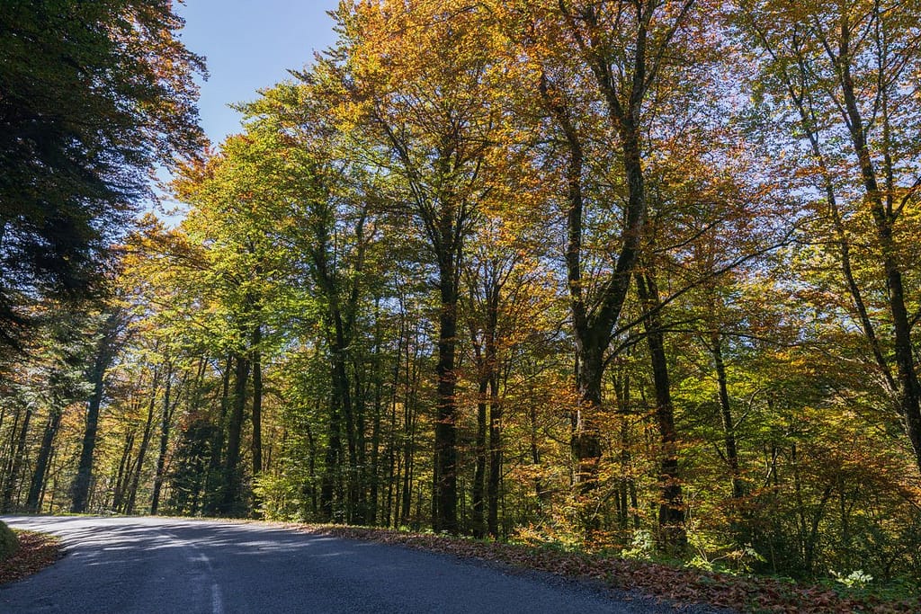 Langs de D14 richting Arfons