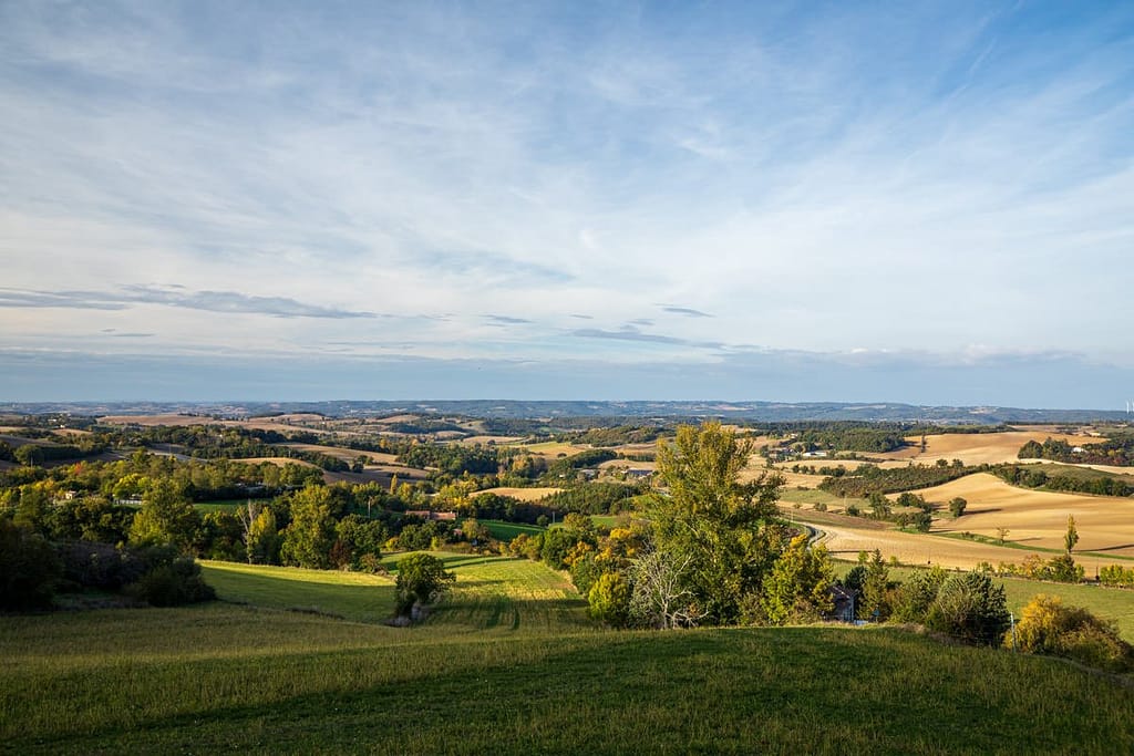 Langs de D84 bij Puylaurens