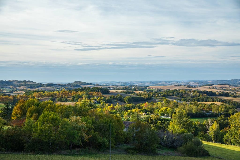 Langs de D84 bij Puylaurens