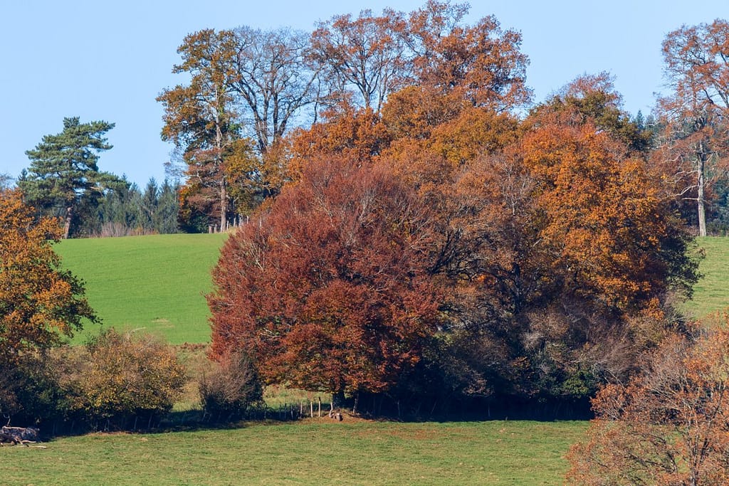 Omgeving Lac du Tolerme