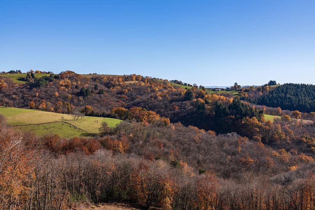 Langs de D19 richting Lascombelles