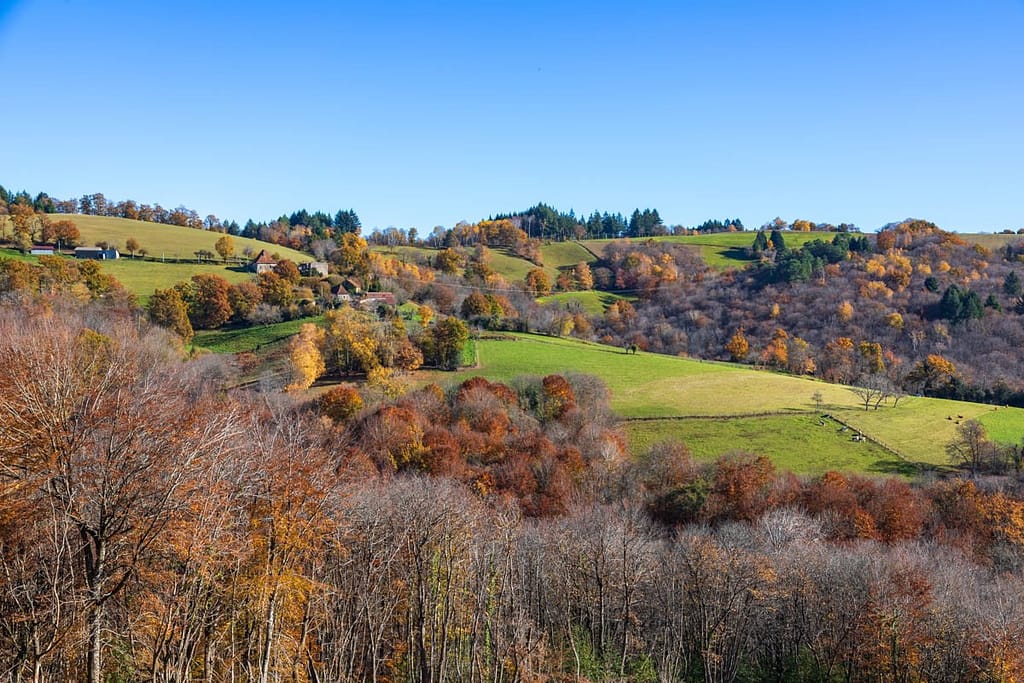 Langs de D19 richting Lascombelles