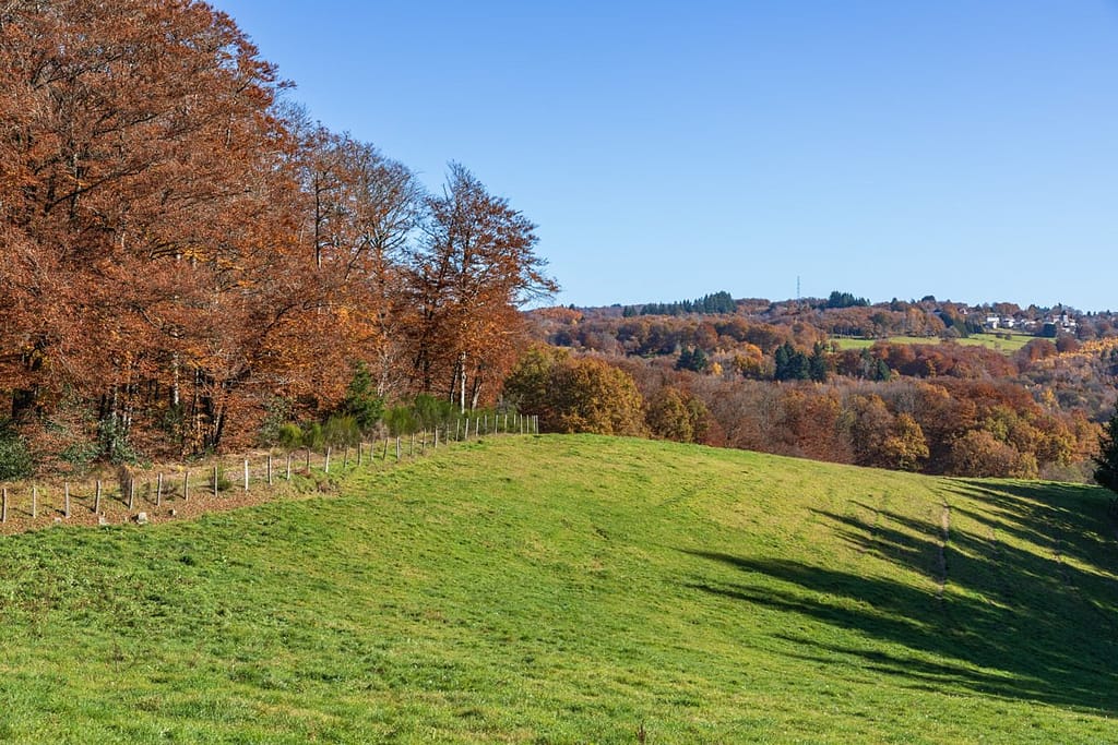 Langs de D30 richting Lac du Tolerme