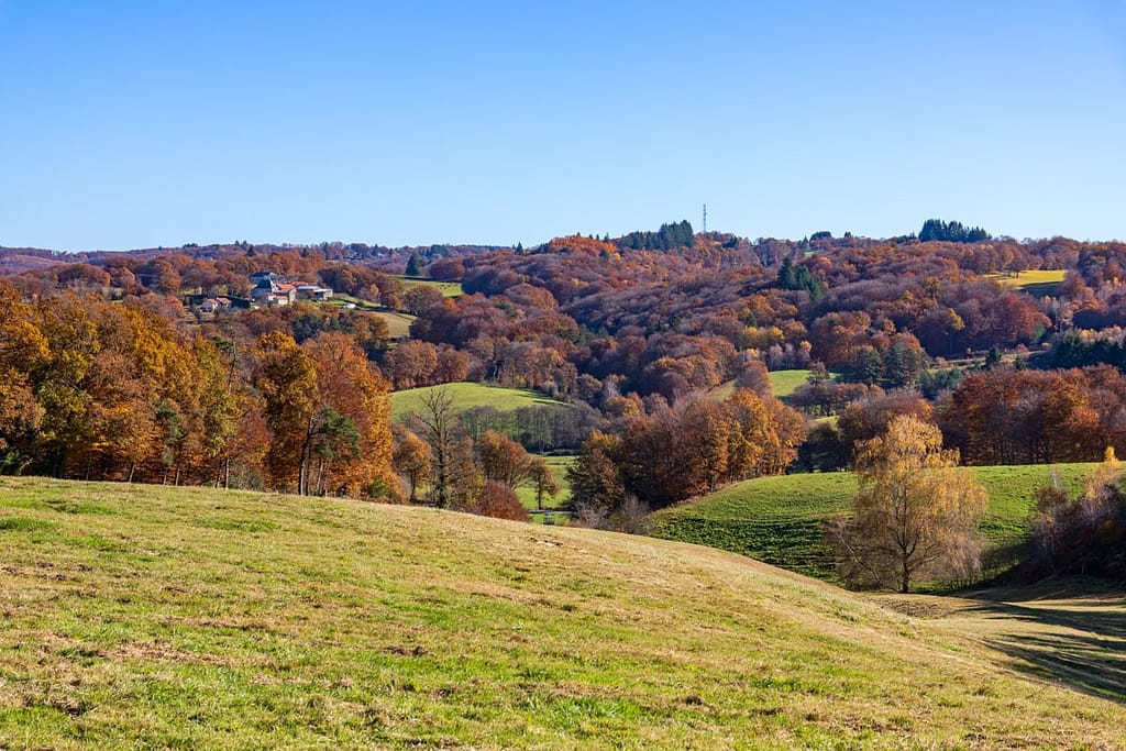 Langs locale weg richting Lac du Tolerme