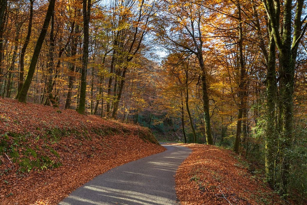 D29 Bij Ruisseau de Belmont