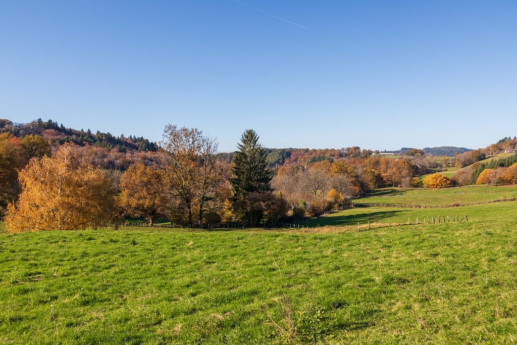 Langs de D40 richting Teyssieu