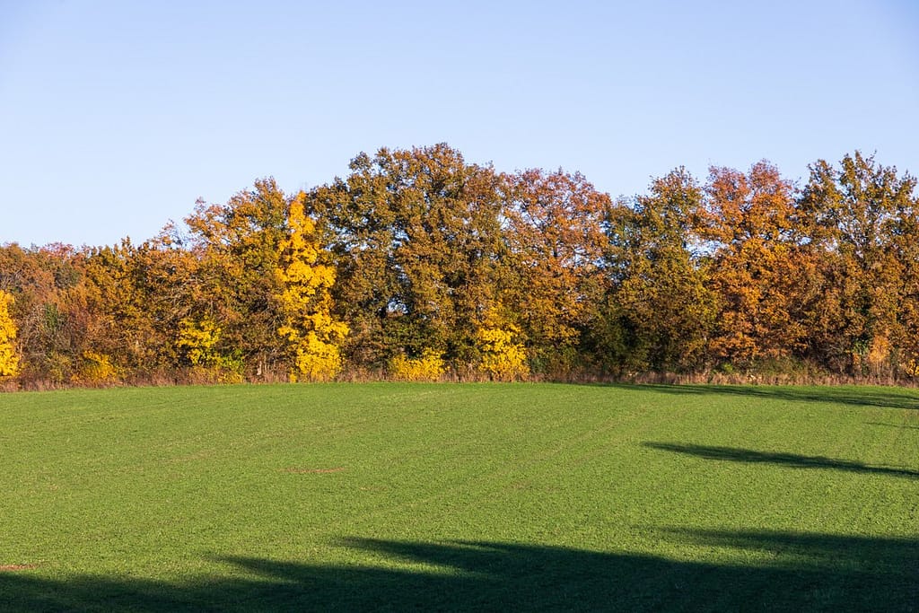 Langs de D53 richting Beauregard