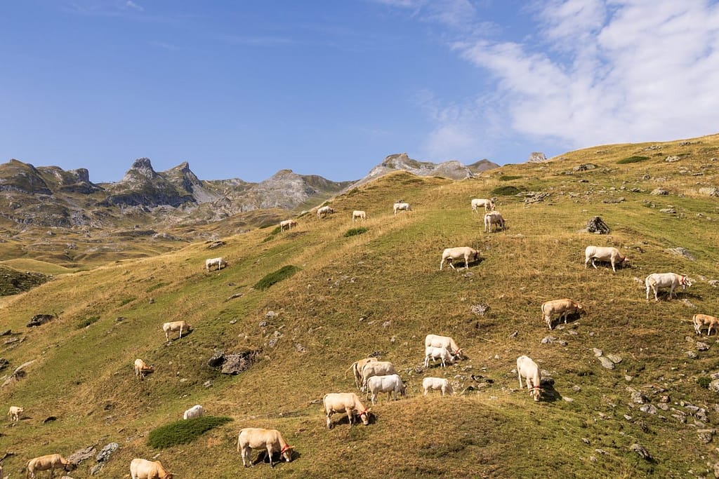 D934 Col du Pourtalet