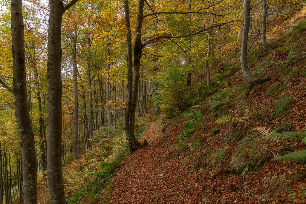 Wandeling naar Etang de Eychelle vanag Col de la Core