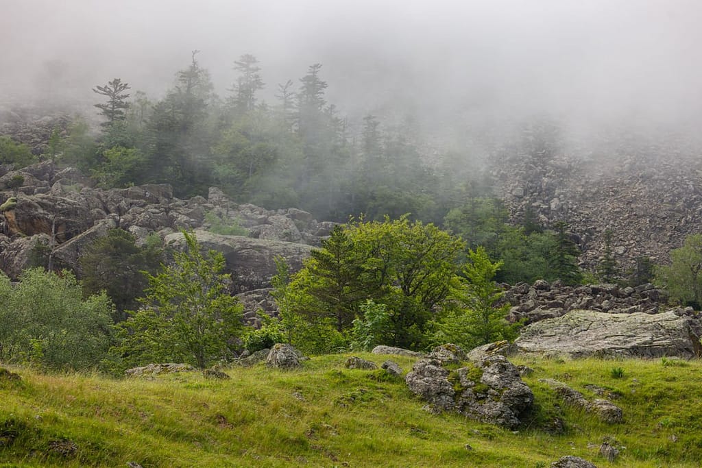 Wandeling naar de Lacs d'Ayous