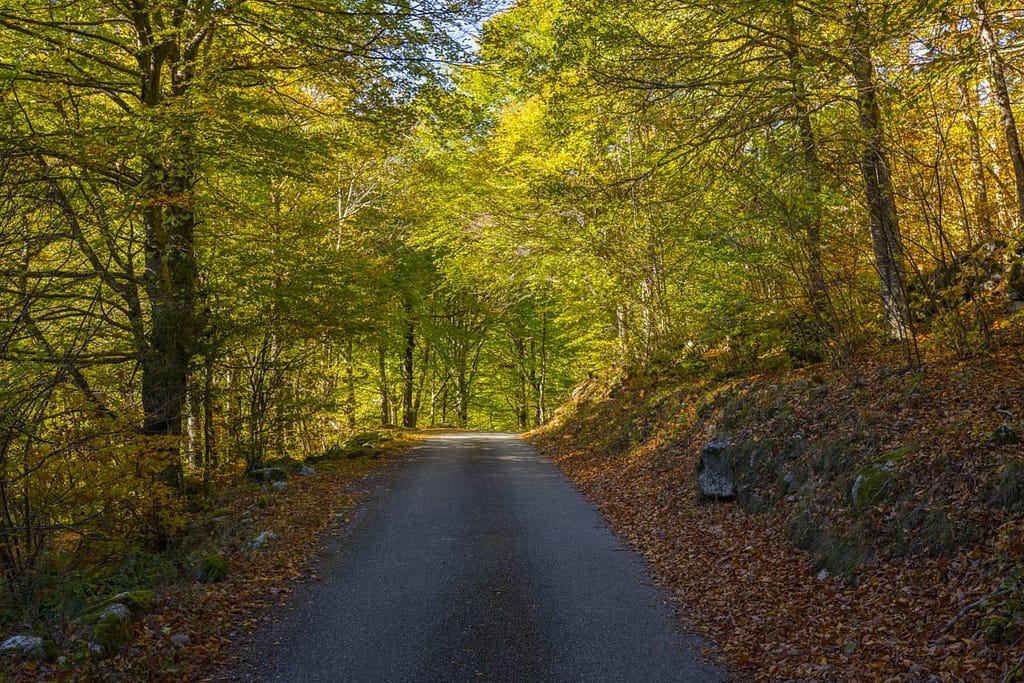 Weggetje naar 2e parking in Vallée d'Orlu