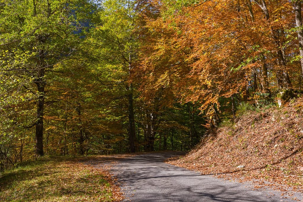 Weggetje naar 2e parking in Vallée d'Orlu