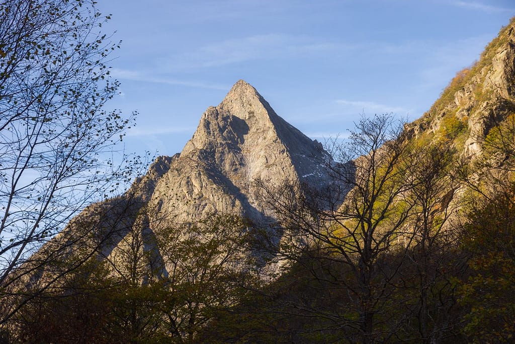 Dent d'Orlu