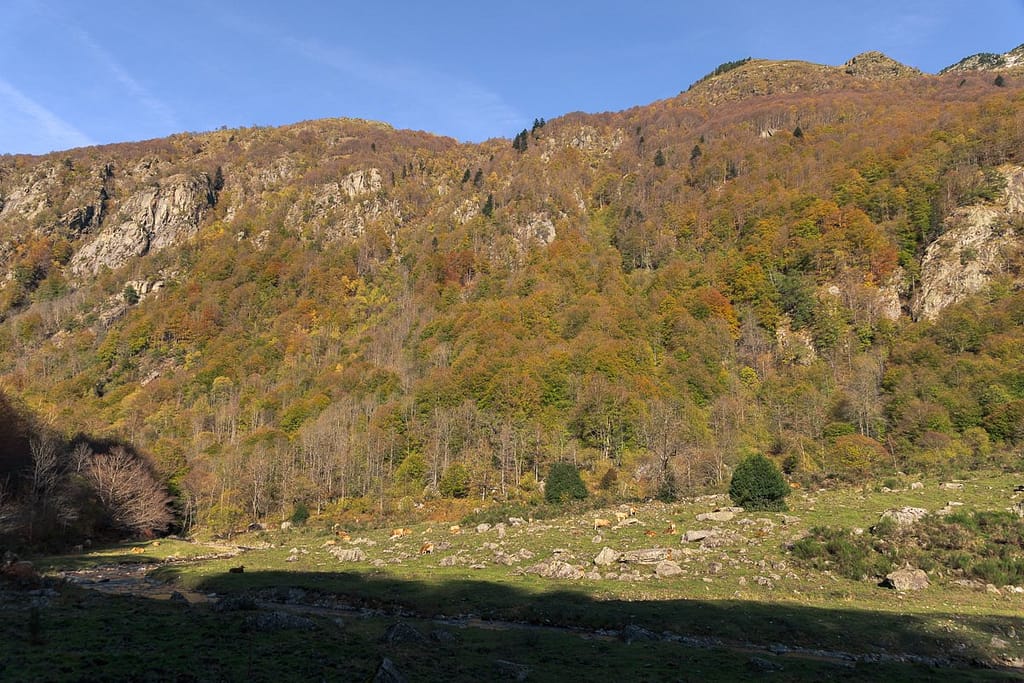Vallée d'Orlu