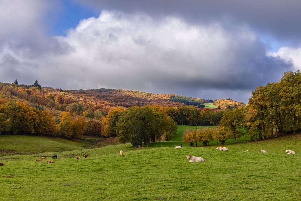 Herfstkleuren departement de Lot