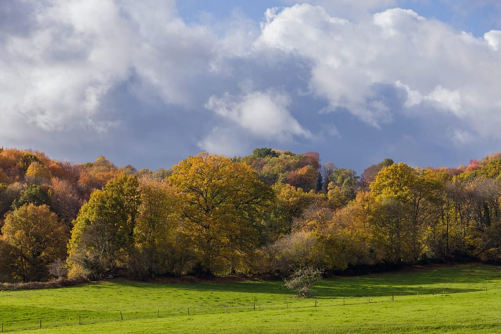 Herfstkleuren departement de Lot
