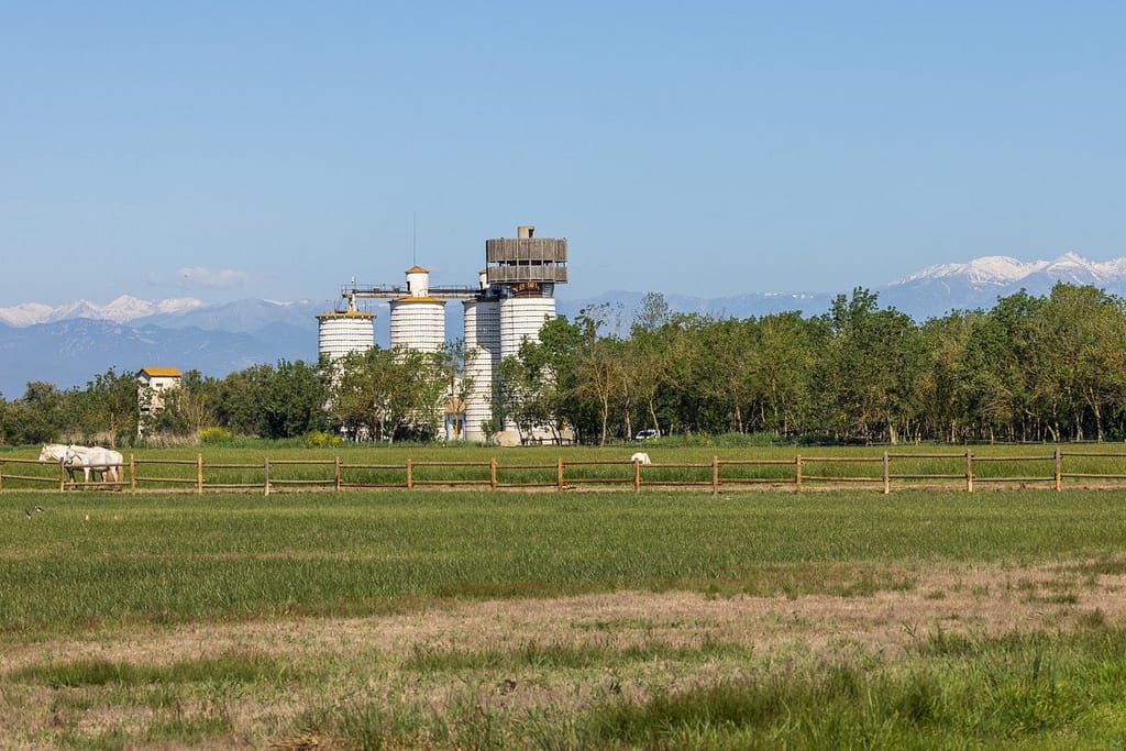 Natuurpark Aiguamolls de l’Empordà
