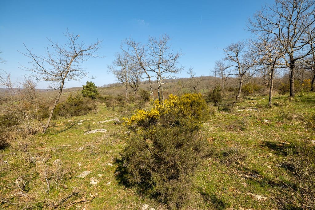 Uitzicht vanaf le Sentier de Solitaire bij Mas-d Azil
