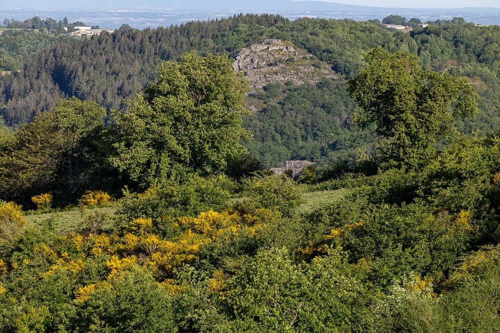 Uitzicht langs wandelroute Sentier du chevreuil
