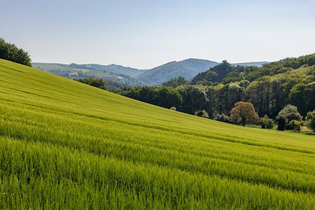 Uitzicht langs wandelroute Seintier de deux Puechs