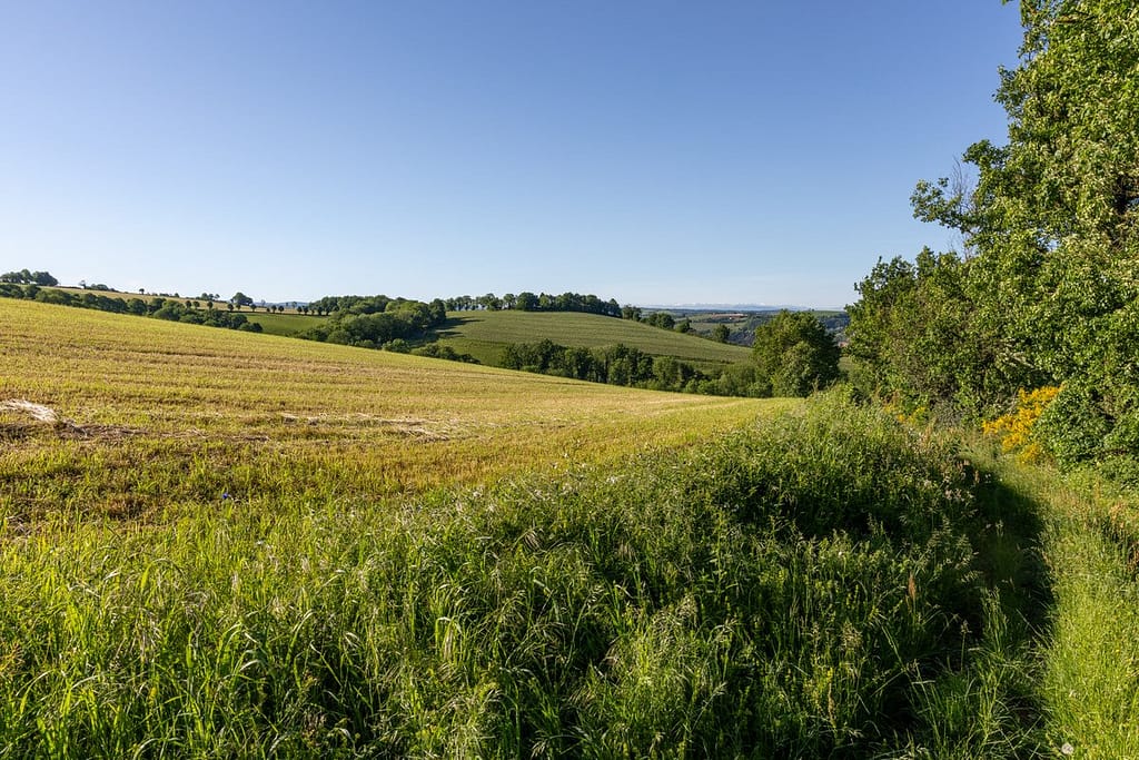 Uitzicht langs wandelroute Sentier du chevreuil