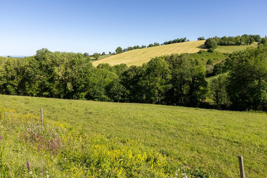 Uitzicht langs wandelroute Sentier du chevreuil