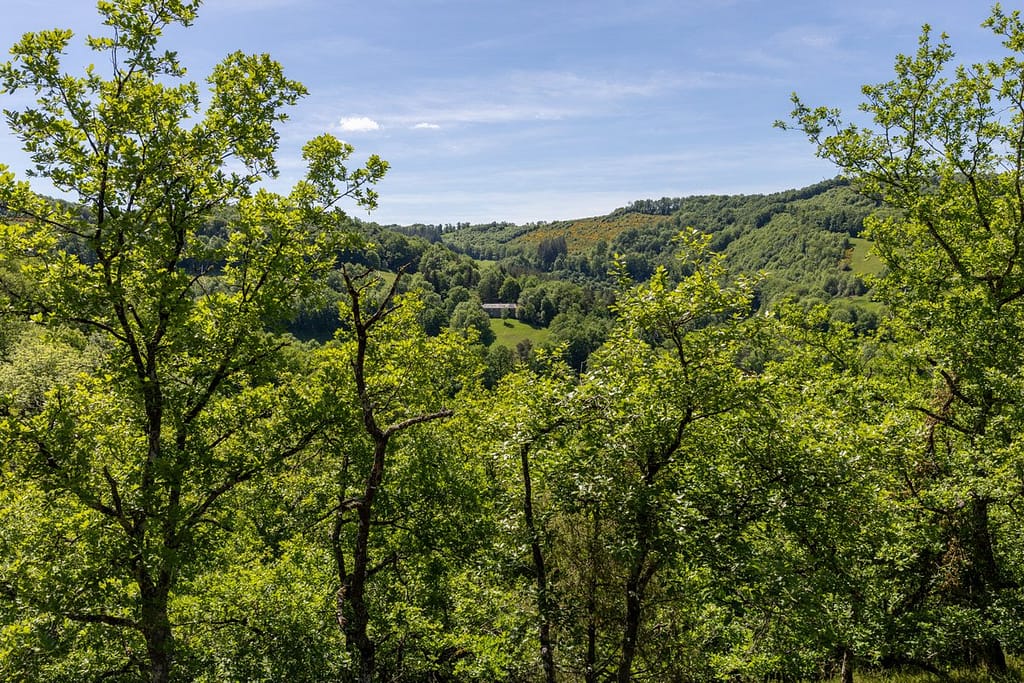 Uitzicht langs wandelroute Sentier du chevreuil