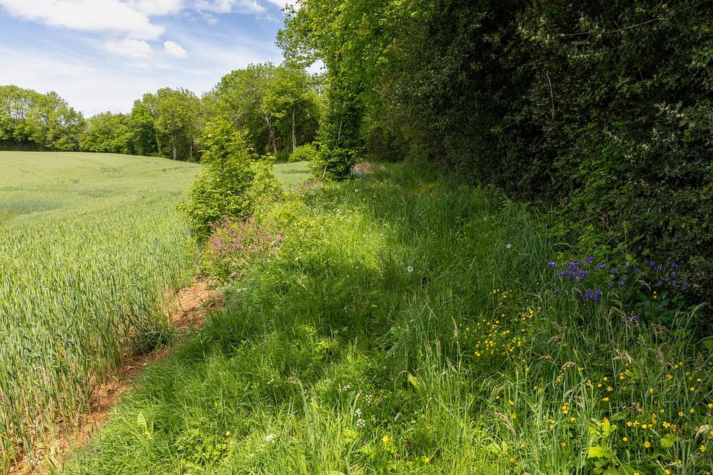 Uitzicht langs wandelroute Sentier du chevreuil