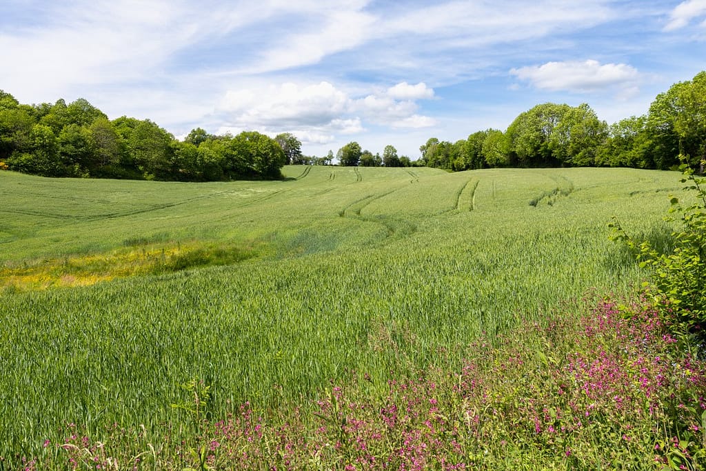 Uitzicht langs wandelroute Sentier du chevreuil
