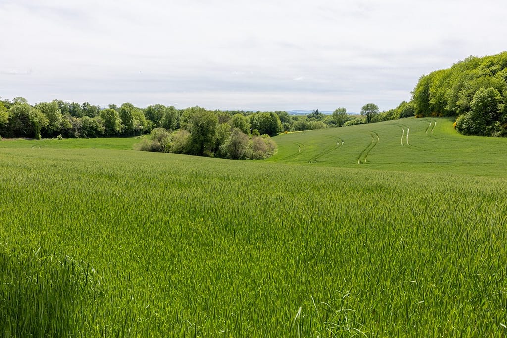 Uitzicht langs wandelroute Sentier du chevreuil