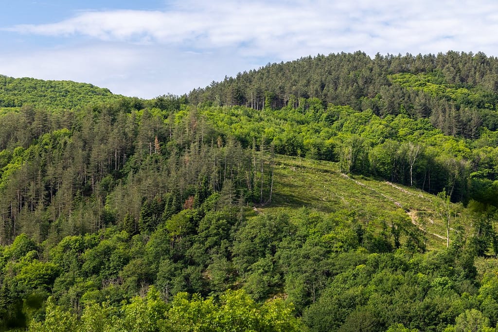 Uitzicht langs wandelroute Roc de Miramont - Castelpers