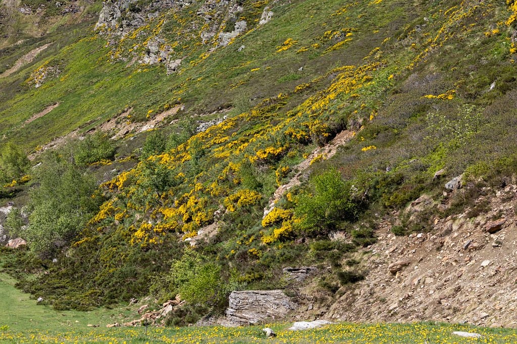 Uitzicht langs wandelroute naar Étang d'Appy