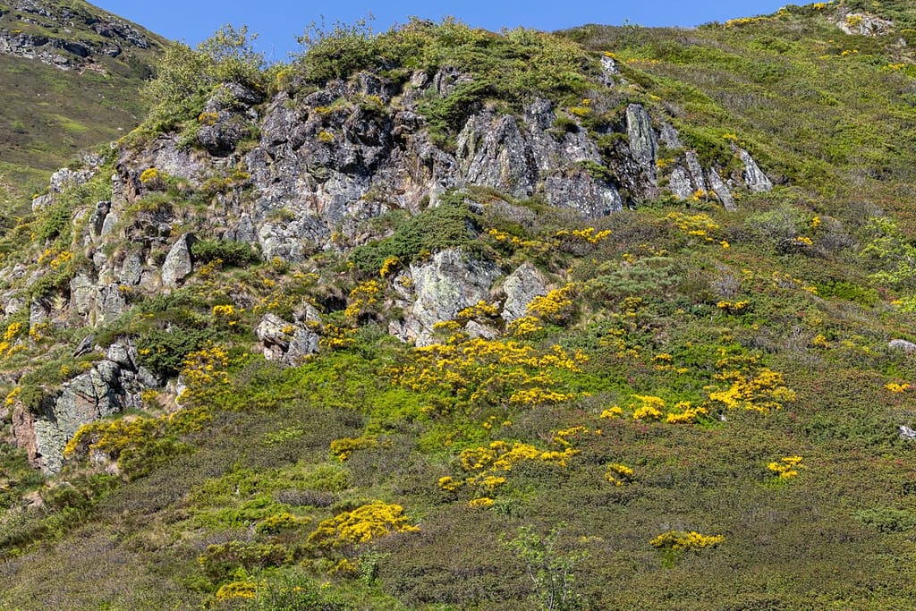 Uitzicht langs wandelroute naar Étang d'Appy