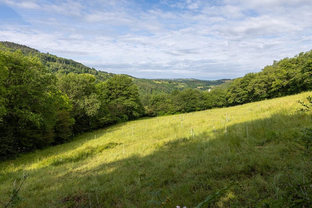 Uitzicht langs wandelroute Roc de Miramont - Castelpers