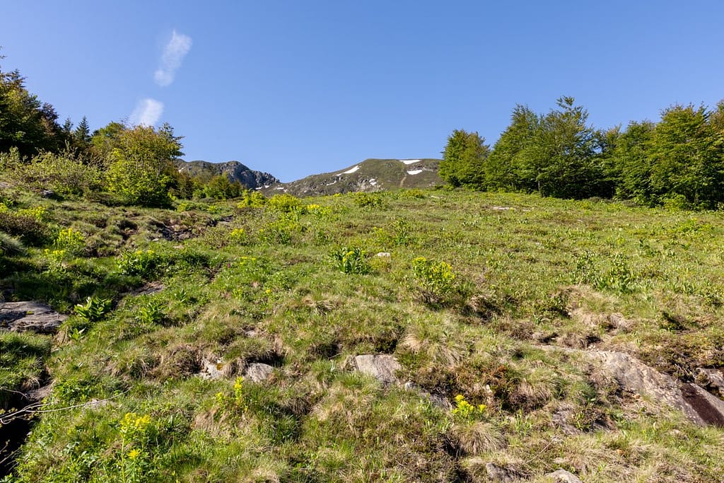 Uitzicht langs wandelroute naar Étang d'Appy