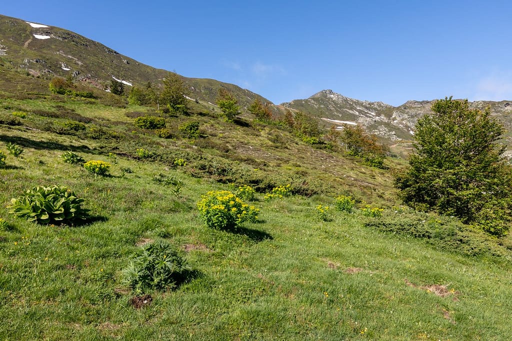 Uitzicht langs wandelroute naar Étang d'Appy