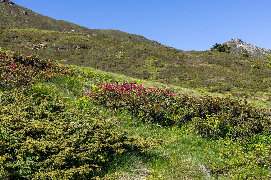 Uitzicht langs wandelroute naar Étang d'Appy